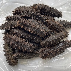 北海道產塩蔵なまこ(海鼠)1kg