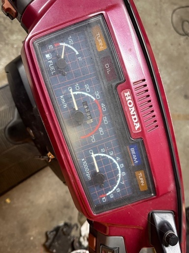 ズーマー 白 (No.2308)