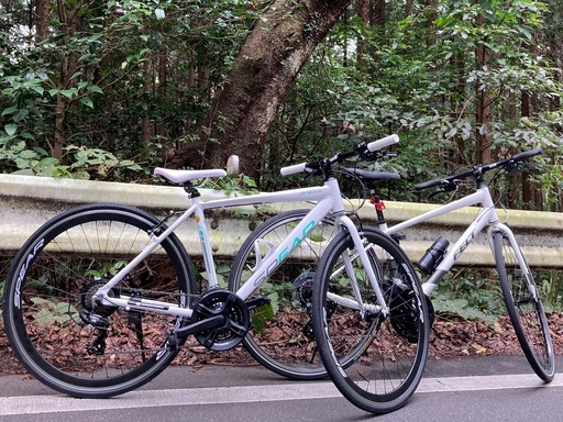 Trek FX2 2018年モデル Sサイズ165〜175cm京都近く手渡し TREK