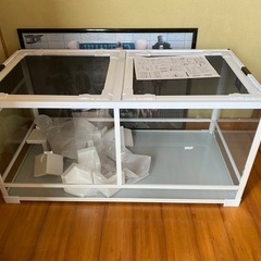 昆虫類・小動物飼育用組み立て式ガラスケース - その他 