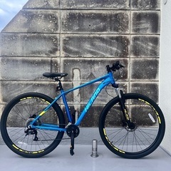 SHAULA シャウラ Y 