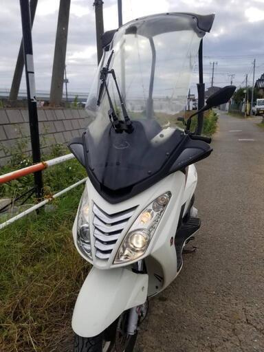 動画有 マラグーティ MALAGUTI マラグーティブログ160 屋根付き 安定性