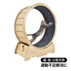 キャットホイールの中古が安い！激安で譲ります・無料であげます 