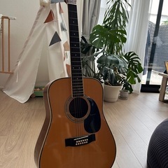 大幅値下げ！早い者勝ち！！】 12弦ギター