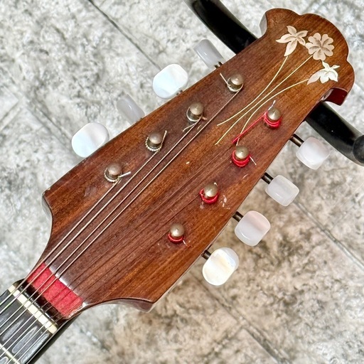 ラファエレ・カラーチェ No.13 ハードケース付き ラファエレカラーチェ