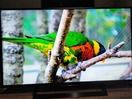 SONY KJ-49X7000D 49インチAndroidスマートテレビ Amazon | ソニー 49V型 液晶 テレビ ブラビア KJ-49X7000D 4K Android