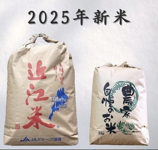 今年ではありません‼️来年‼️2025年‼️‼️ コシヒカリ 新米