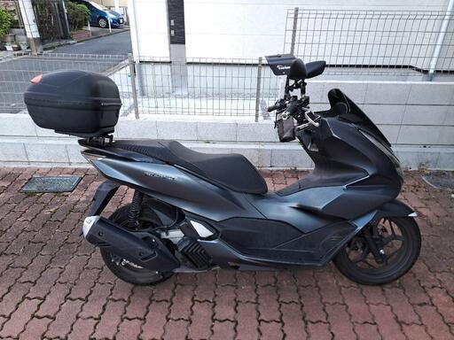 2023年式　PCX JK05　23300km 2023年式 PCX JK05 23300km pcx - バイクの系譜