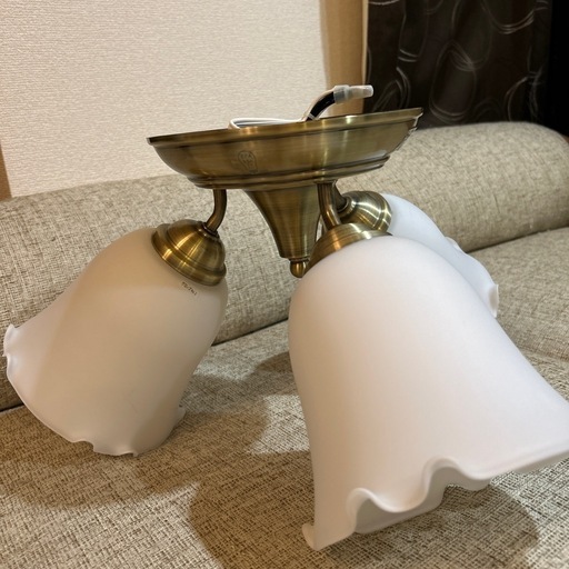 シーリングライト