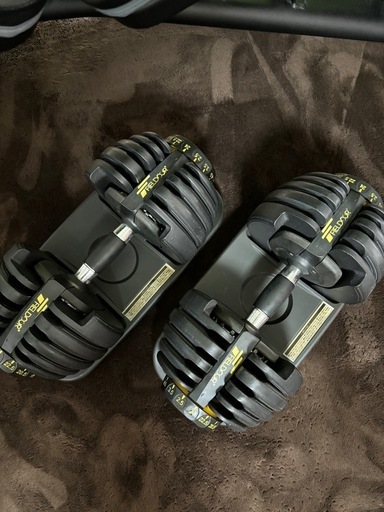 可変式インクラインベンチと可変ダンベル セット