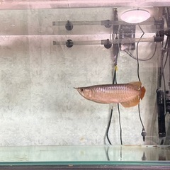 中古 90cm x45x45 水槽 , 水槽台、 1年使ったです