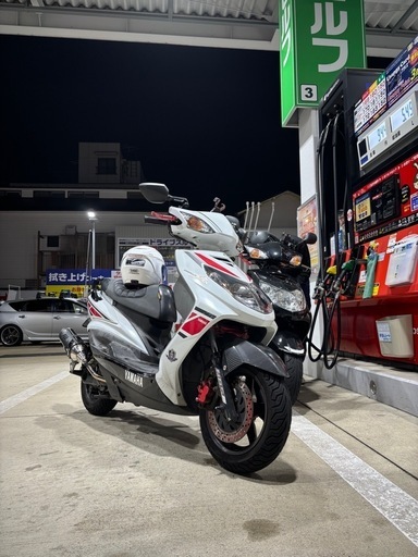 シグナス2型 カスタム多数 SE44J