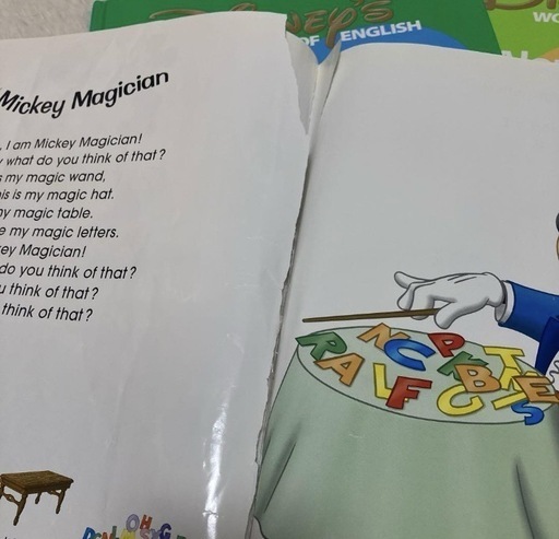 【未開封新品】DWE シングアロング Sing Along! 歌詞絵本 最新版 DWE シングアロング DVD CD 歌詞 絵本 1231