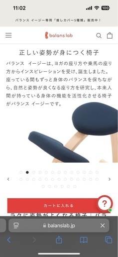 バランスイージー 通常フレーム バランスイージー バランスチェア」の