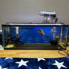 受渡し決定】水槽セット