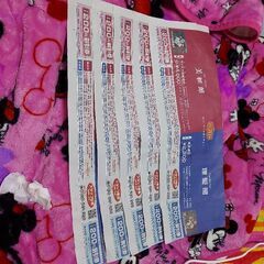 城崎温泉 サイコロ切符 往復 新幹線 チケット