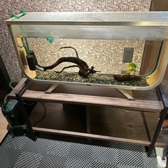 アクアラックシェルフ その他の中古が安い！激安で譲ります・無料で  