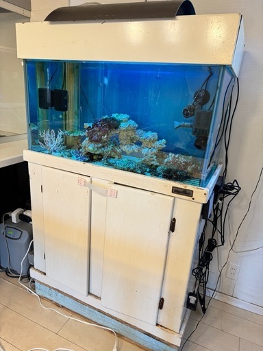 最終値下げオーバーフロー水槽