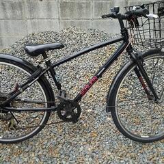 SCHLEINの中古が安い！激安で譲ります・無料であげます｜ジモティー 