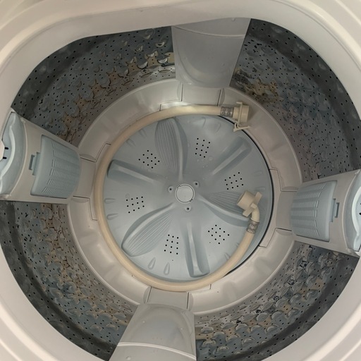 2024年製】洗濯機 7kg AW-7GM2 TOSHIBA ホワイト 洗濯機 中古 東芝