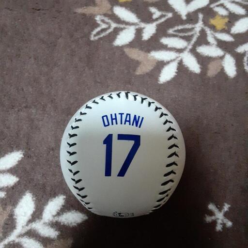 チーム名日付入】大谷翔平選手ルーキー時直筆サイン入ボール チーム名