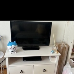 決まりました！テレビのみ！