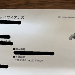 至急！9/10(日)のWANDSライブ仙台公演チケット2枚！！1枚だけでも