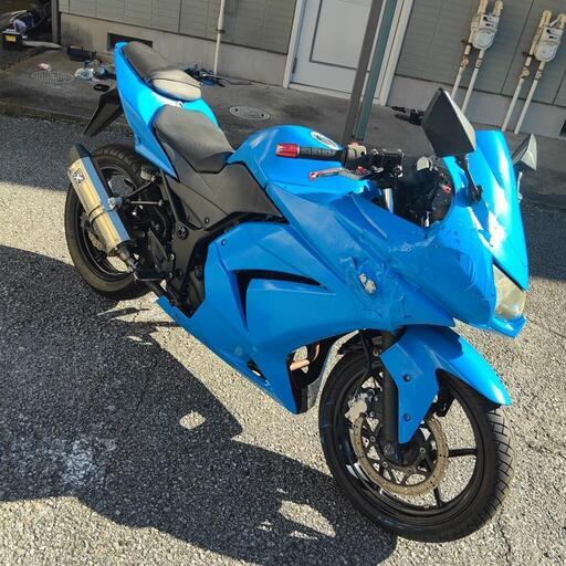 Kawasaki　NinjaEX　外装だけ悪い
