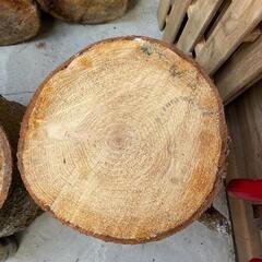 山梨県の広葉樹 その他の中古が安い！激安で譲ります・無料であげます  