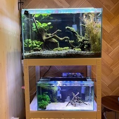 大型水槽セット90cm 熱帯魚 爬虫類 値下げしました
