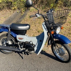バーディー スズキの中古が安い！激安で譲ります・無料であげます 