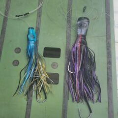 トローリング スポーツの中古が安い！激安で譲ります・無料であげます  