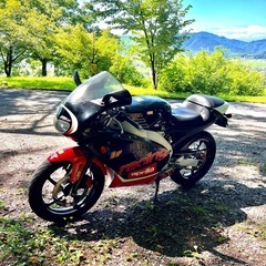 13日まで値下げ！アプリリアrs50  書類無鍵無 不動車 50cc 原付 13日まで値下げ！アプリリアrs50 書類無鍵無 不動車 50cc 原付