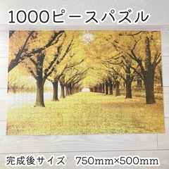 希少】コレクター スパルタンX Spartan-x 73×52 ポスター