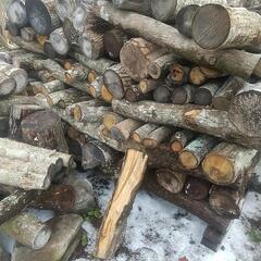 白樺、ニワウルシの薪3立米くらい
