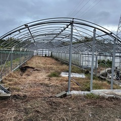 商談中】中古パイプハウスお譲りします