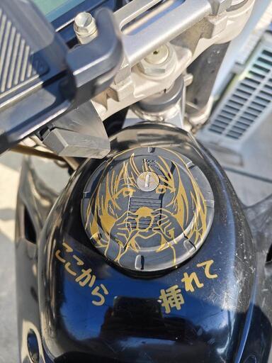 Dトラッカー 250SB モタード 快調 快速 爆速 フルカスタム カワサキ D