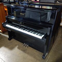 期間限定 / 在庫一掃 / 早い者勝ち / 未整備現状渡し】ディアパソン