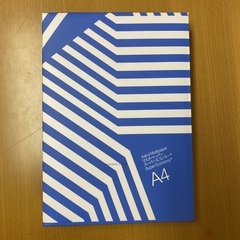 メガバス デストロイヤー5本セット中古品バス釣り用バラ売り可  