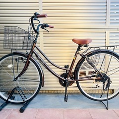 Raleigh Carlton F 2011年 510 マゼンダレッド