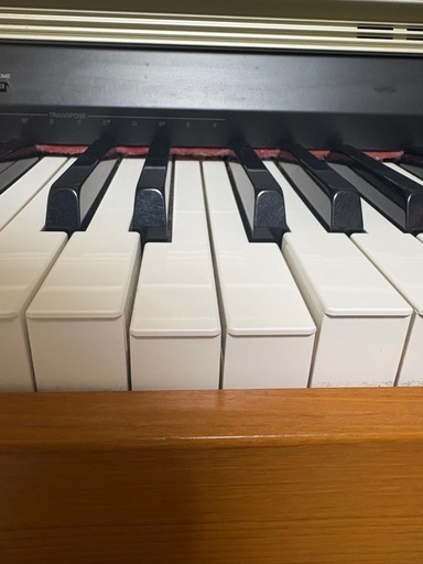 CASIO（カシオ） 【最短翌日お届け】電子ピアノ CASIO CELVIANO AP 