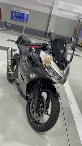 NINJA250希少カラー