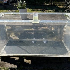 値下げしました！アクリル水槽　＋　熱帯魚2匹 値下げしました！アクリル水槽 ＋ 熱帯魚2匹