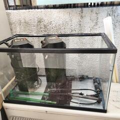 兵庫県の60cm水槽の中古が安い！激安で譲ります・無料であげます  
