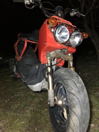 ズーマー カスタム 限定車 105000円 苫小牧港受取可能 ZOOMER 国産