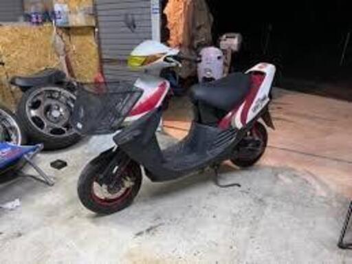 ズーマー カスタム 限定車 105000円 苫小牧港受取可能 ZOOMER 国産