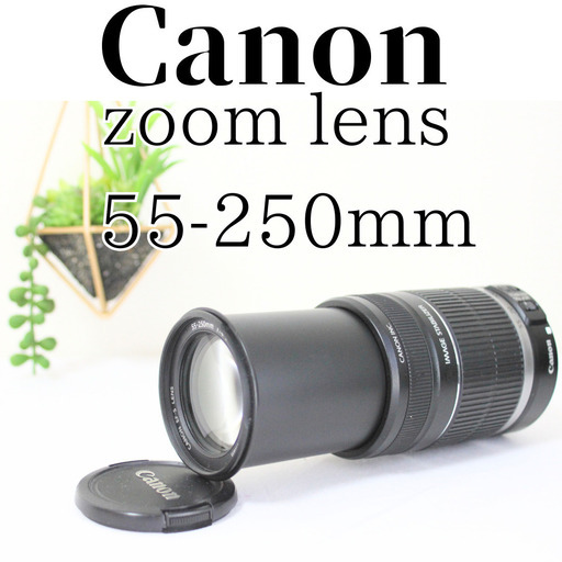 Canon Zoom Lens EF-S 55-250mm 1:4-5.6 IS