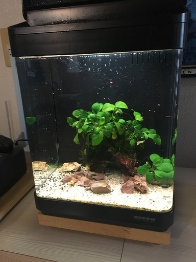 水槽関連 ニッソー ルームメイト901水槽 - 粗く 