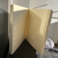 受渡予定者決定】未使用に近い GRACO Citi Star GB