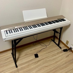 【超希少／今だけ値下げ中】日本では未販売のSeaboard Rise 2！！！ 超希少！】日本では未販売のSeaboard Rise 2！！！